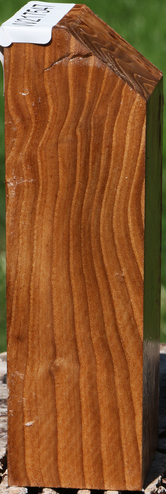 Extra Fancy Elm Burl Turning Blank