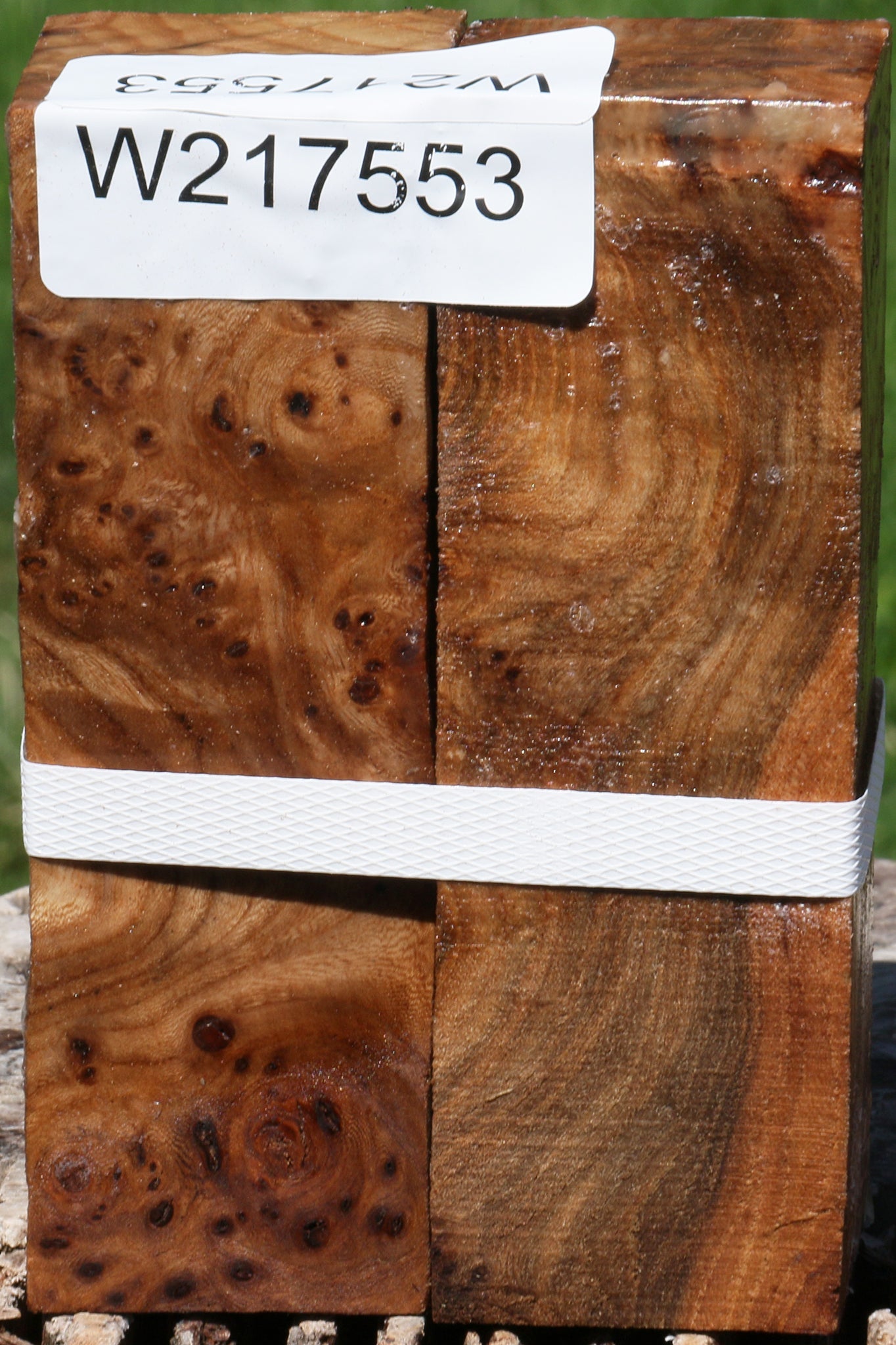 Elm Burl Turning Square 2 Pack