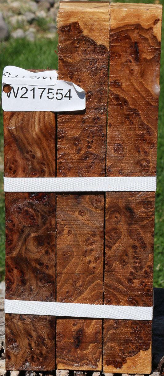 Elm Burl Turning Square 3 Pack