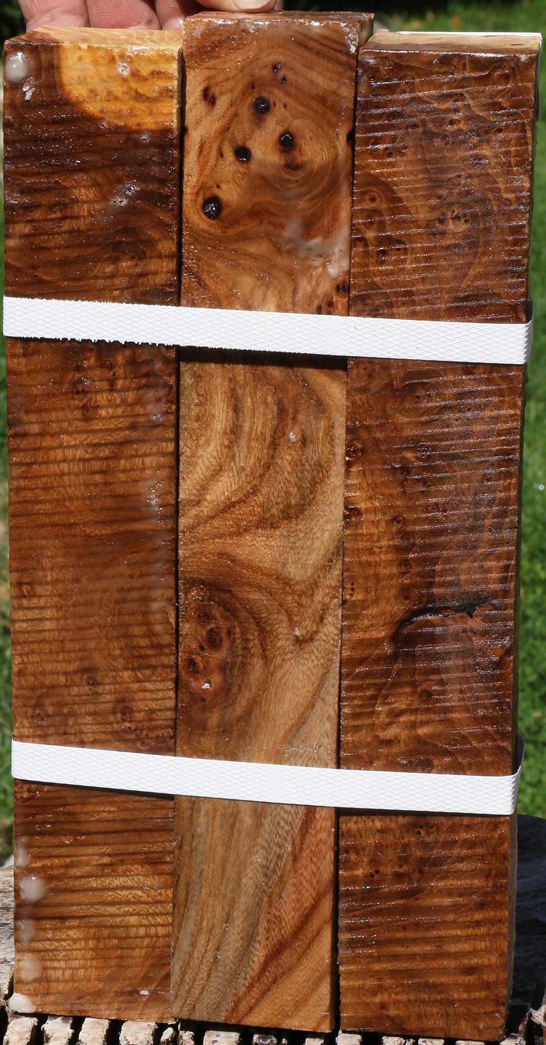 Elm Burl Turning Square 3 Pack