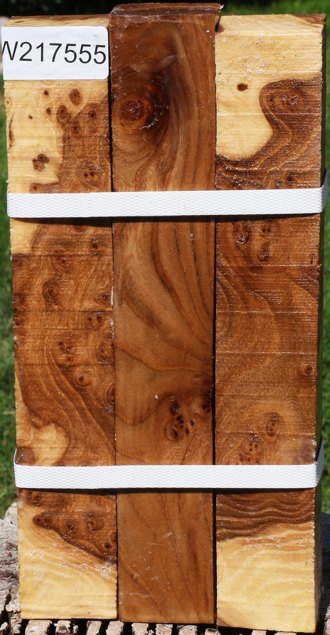 Elm Burl Turning Square 3 Pack