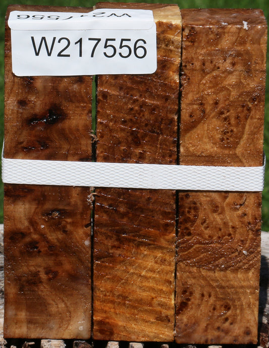 Elm Burl Turning Square 3 Pack