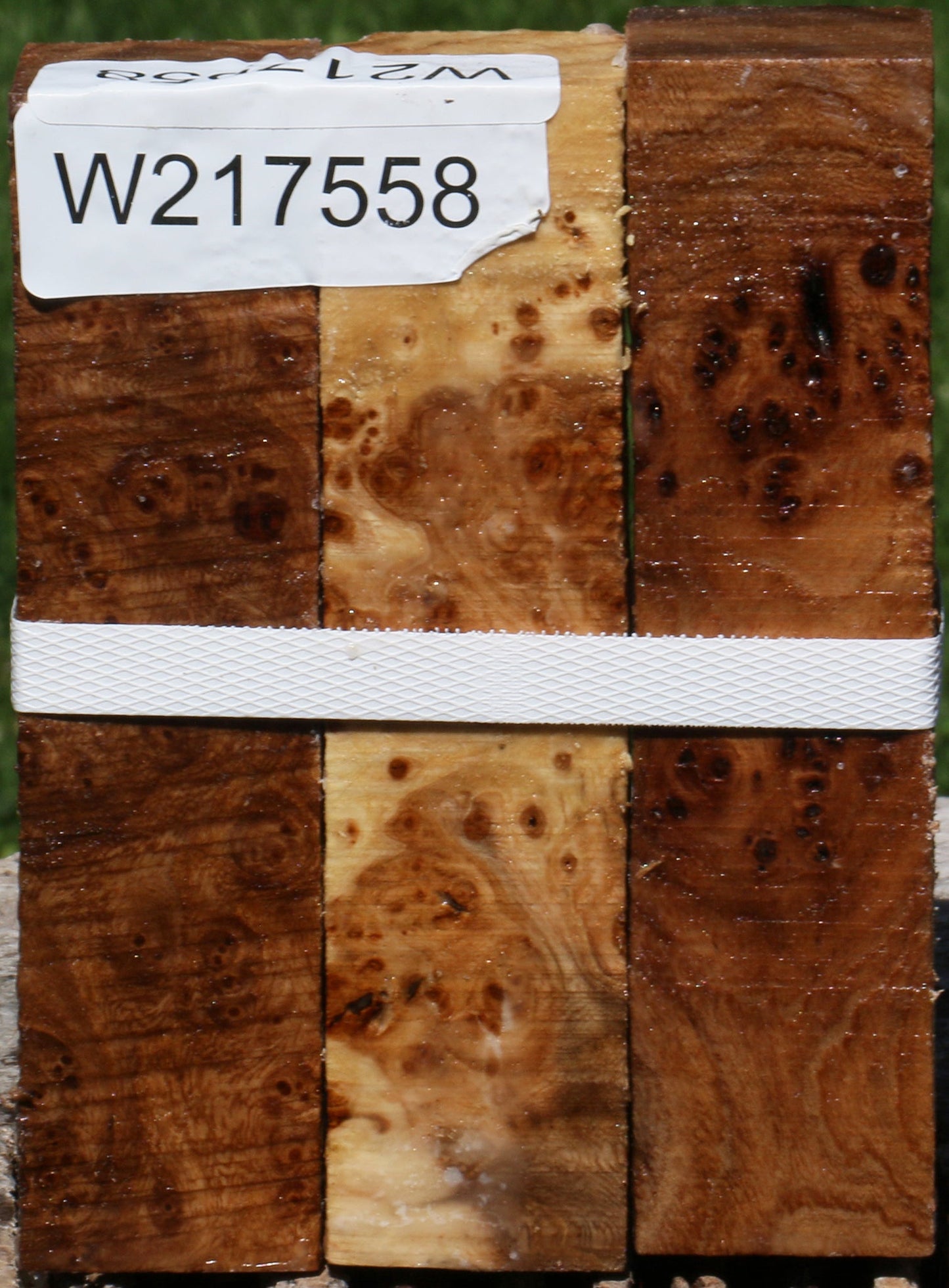 Elm Burl Turning Square 3 Pack