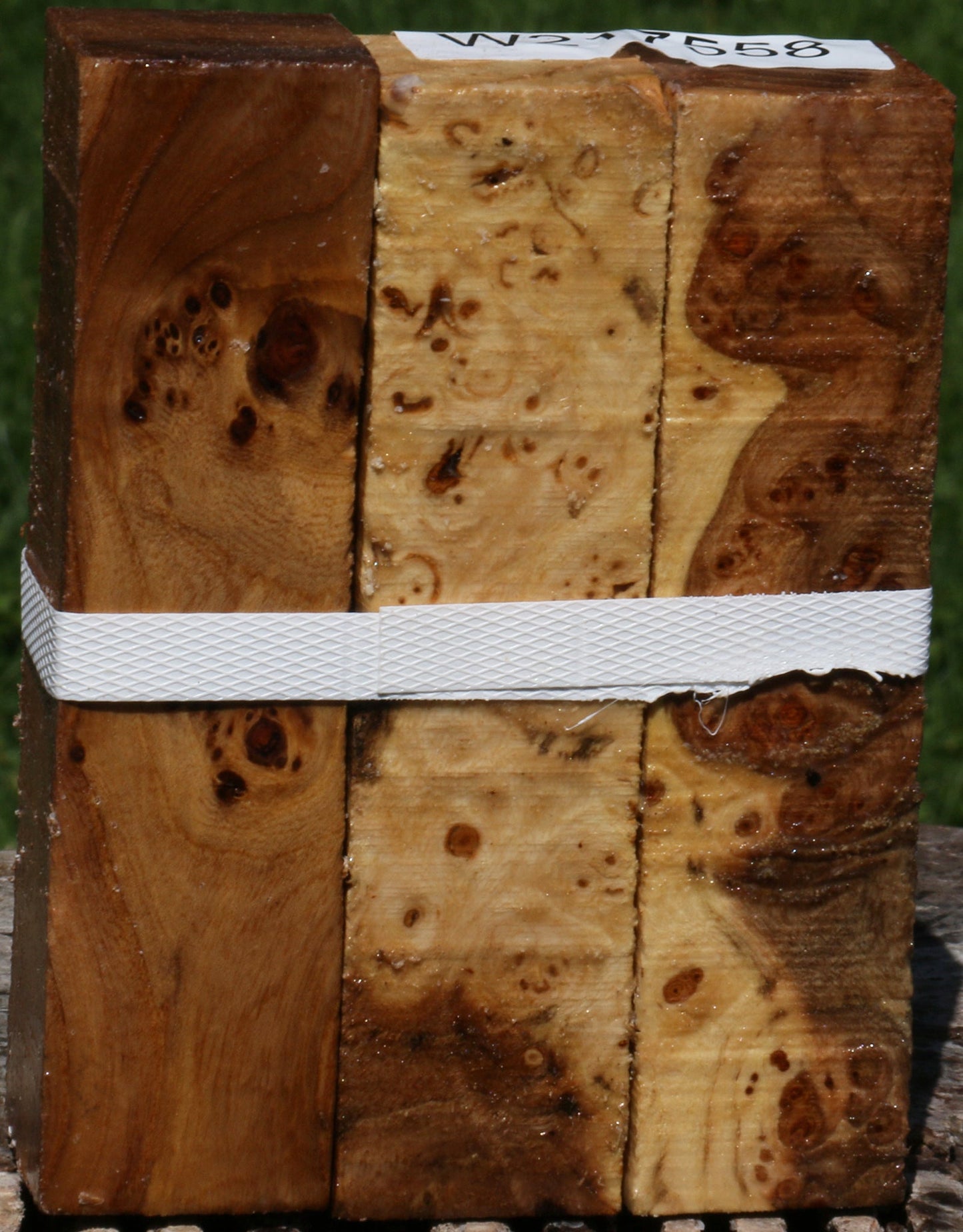 Elm Burl Turning Square 3 Pack