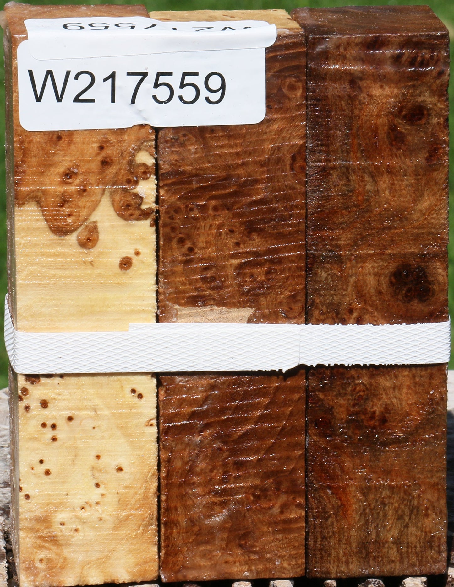 Elm Burl Turning Square 3 Pack