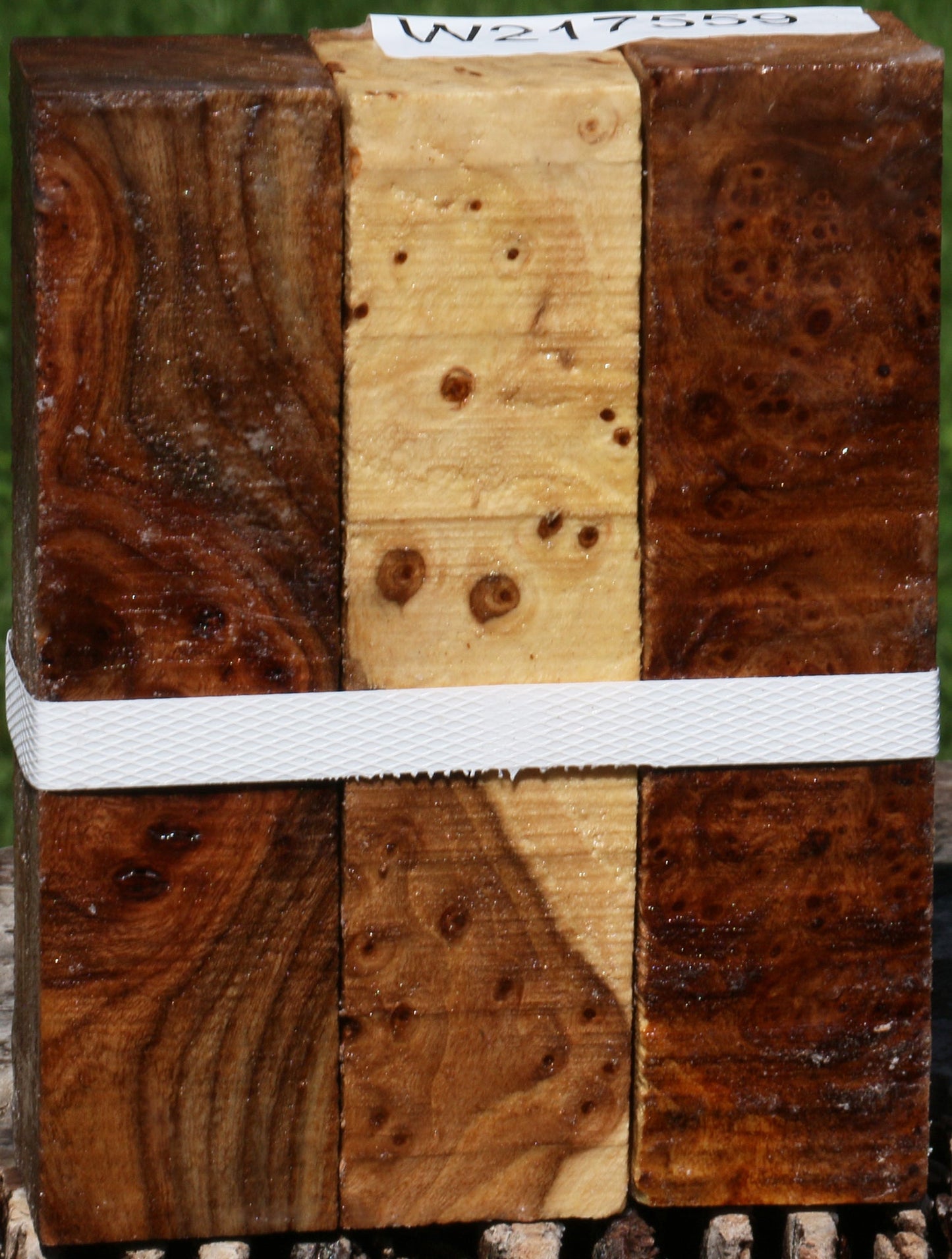 Elm Burl Turning Square 3 Pack