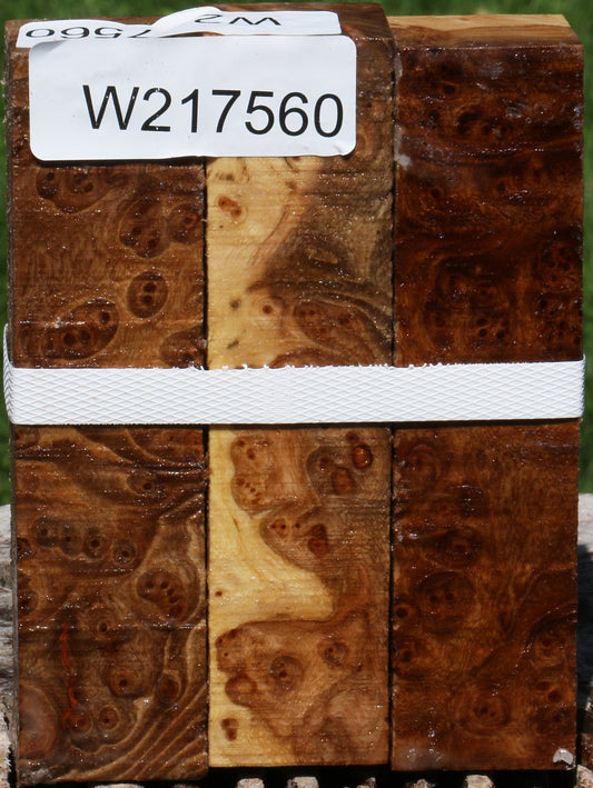 Elm Burl Turning Square 3 Pack