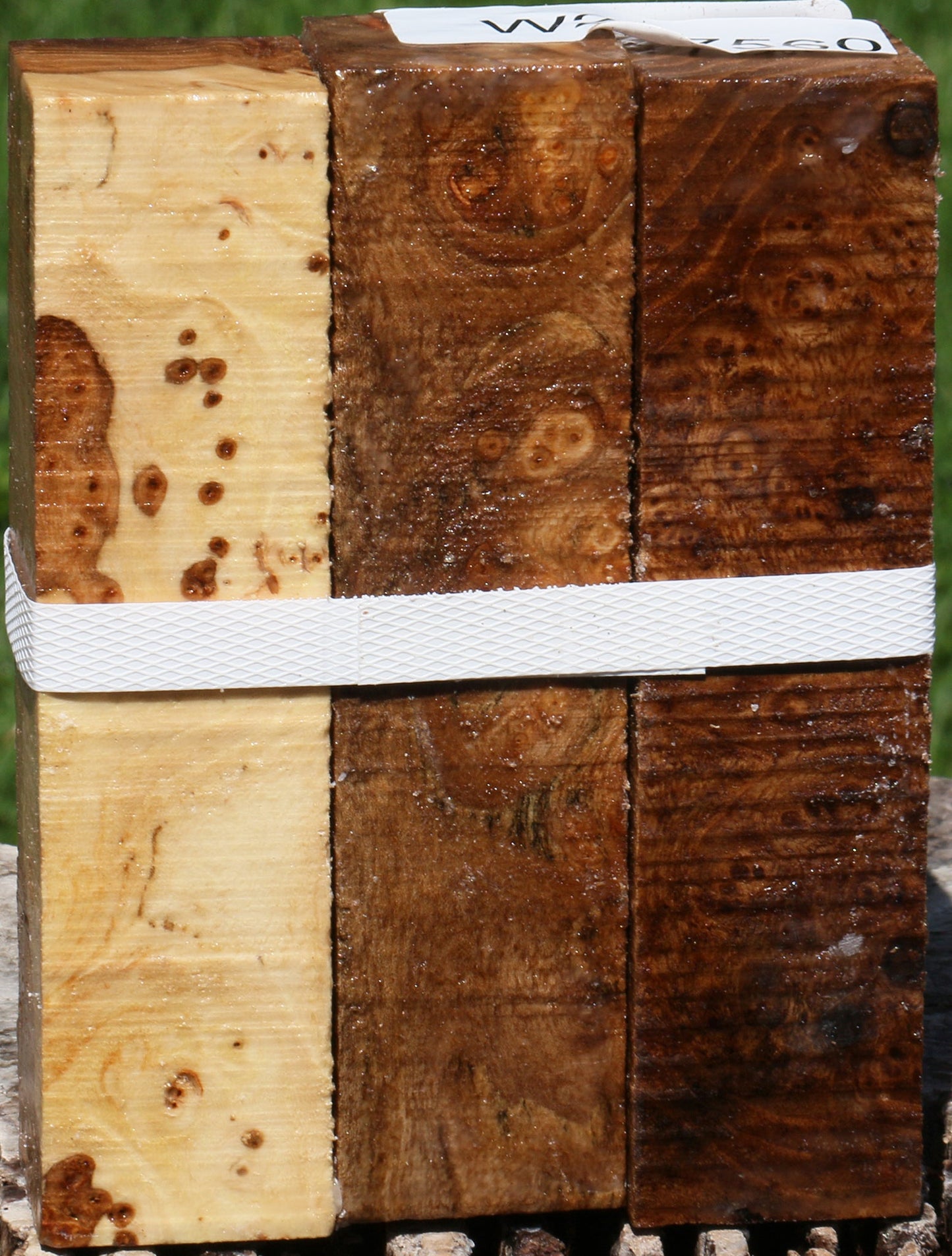 Elm Burl Turning Square 3 Pack