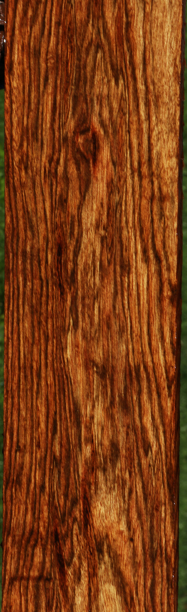 Figured Chechen Lumber