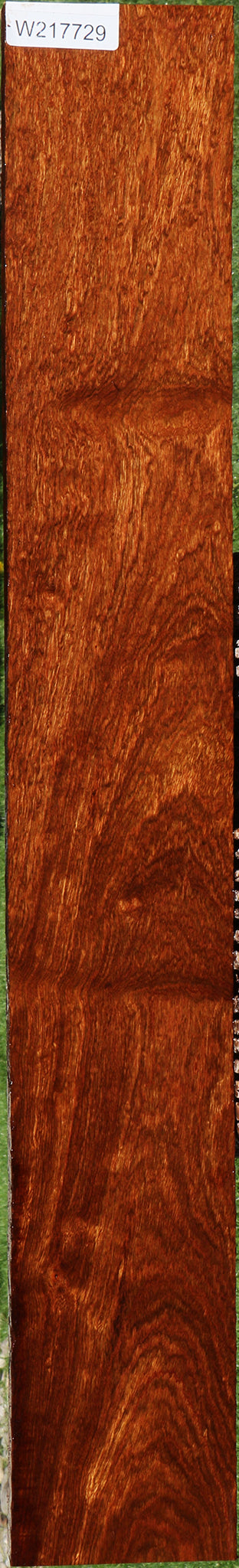 Extra Fancy Chechen Lumber