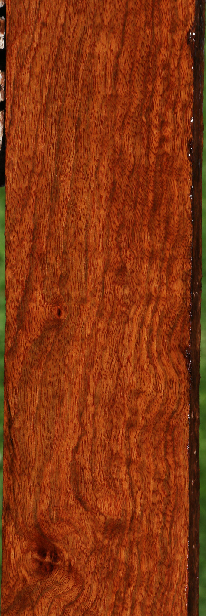 Extra Fancy Chechen Lumber