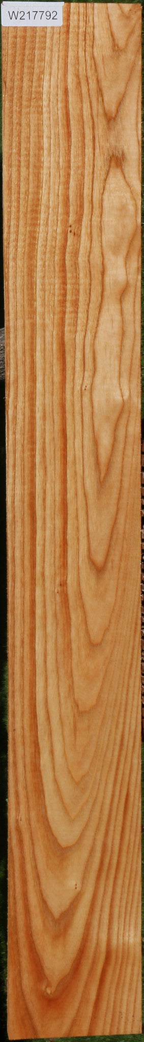 Kentucky Coffeetree Lumber