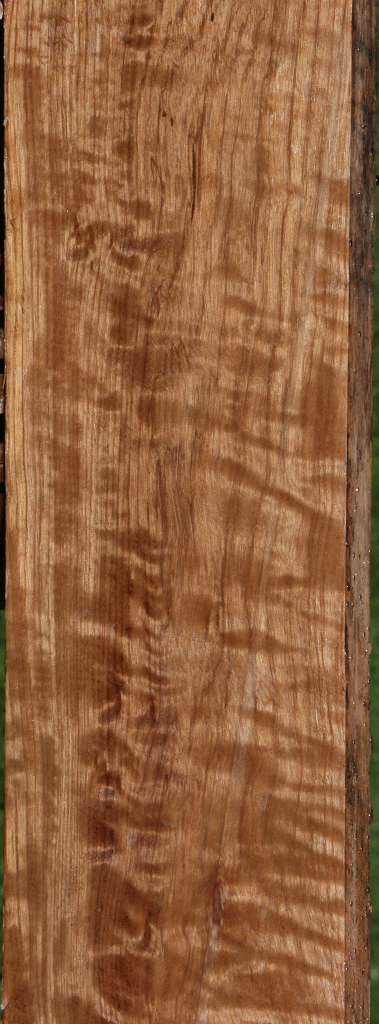 Extra Fancy Asian Satinwood Lumber