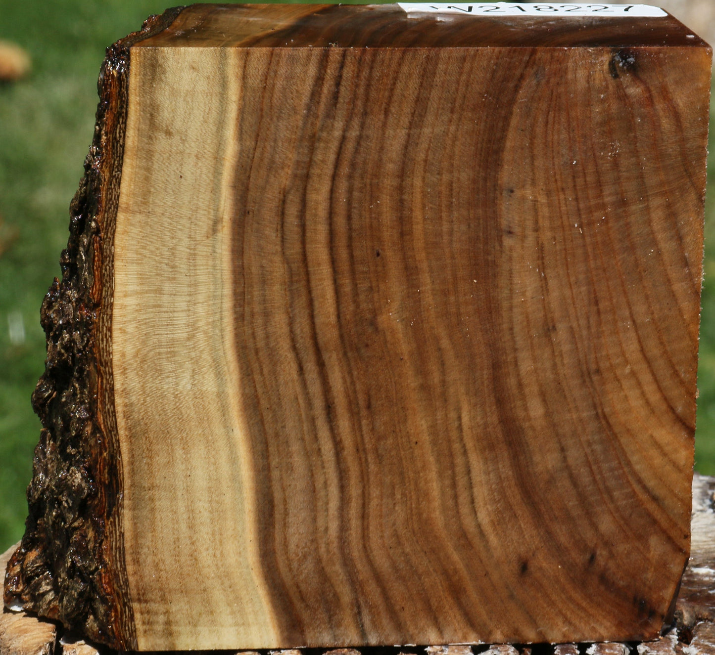 Pistachio Live Edge Bowl Blank