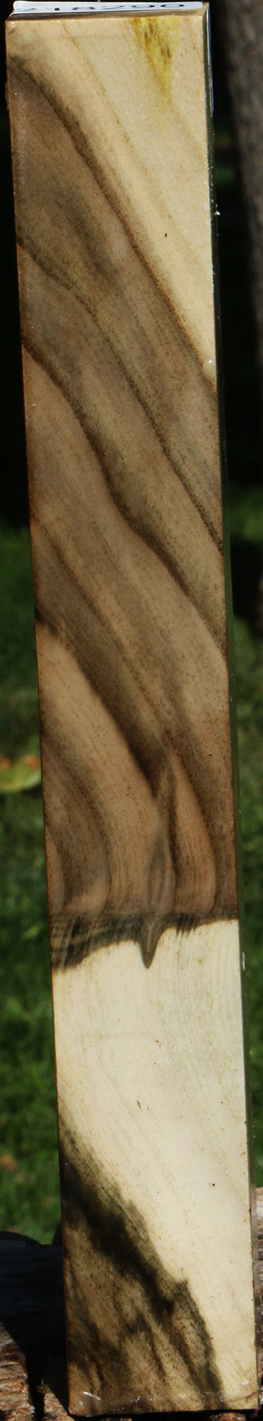 Grafted Pistachio Turning Square