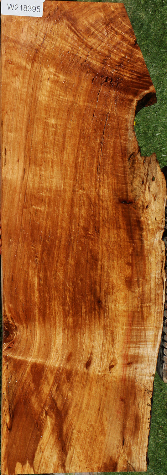 Extra Fancy Silver Wattle Live Edge Lumber