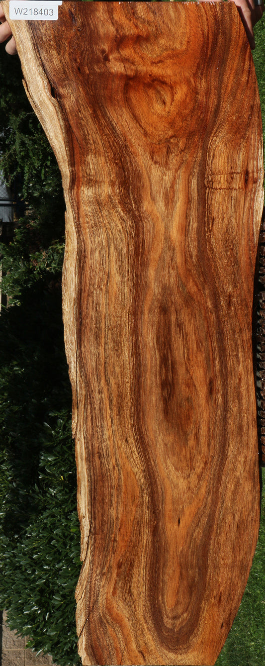 Rustic Silver Wattle Live Edge Lumber