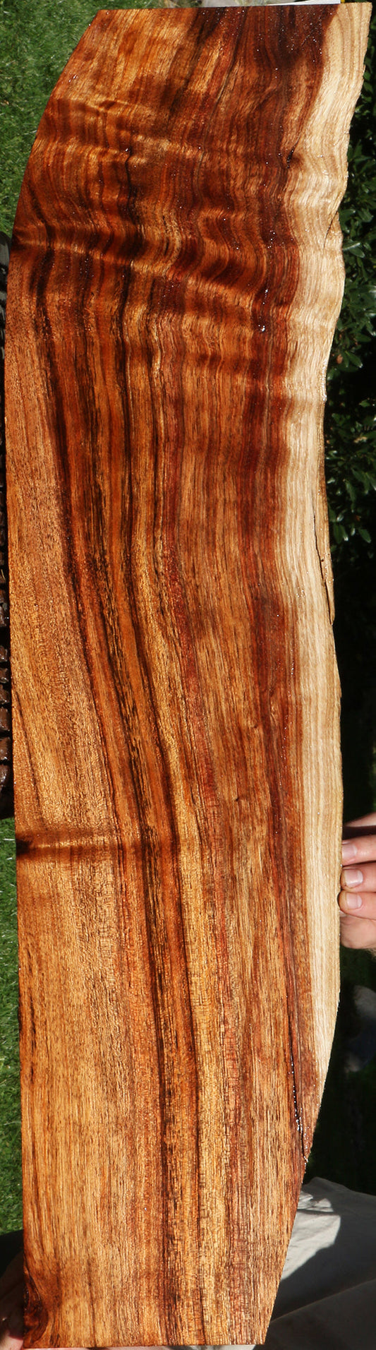 Figured Silver Wattle Live Edge Lumber