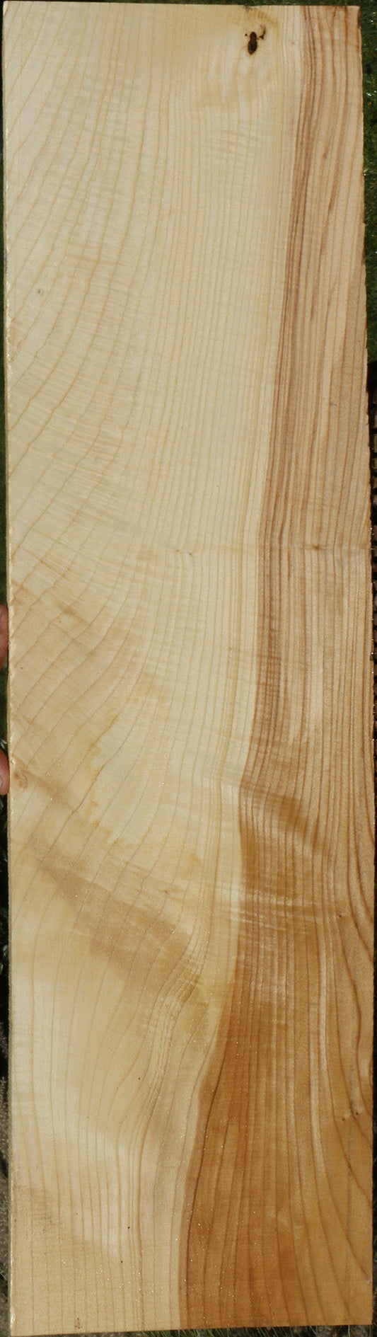 Extra Fancy Fiddleback French Ash Lumber