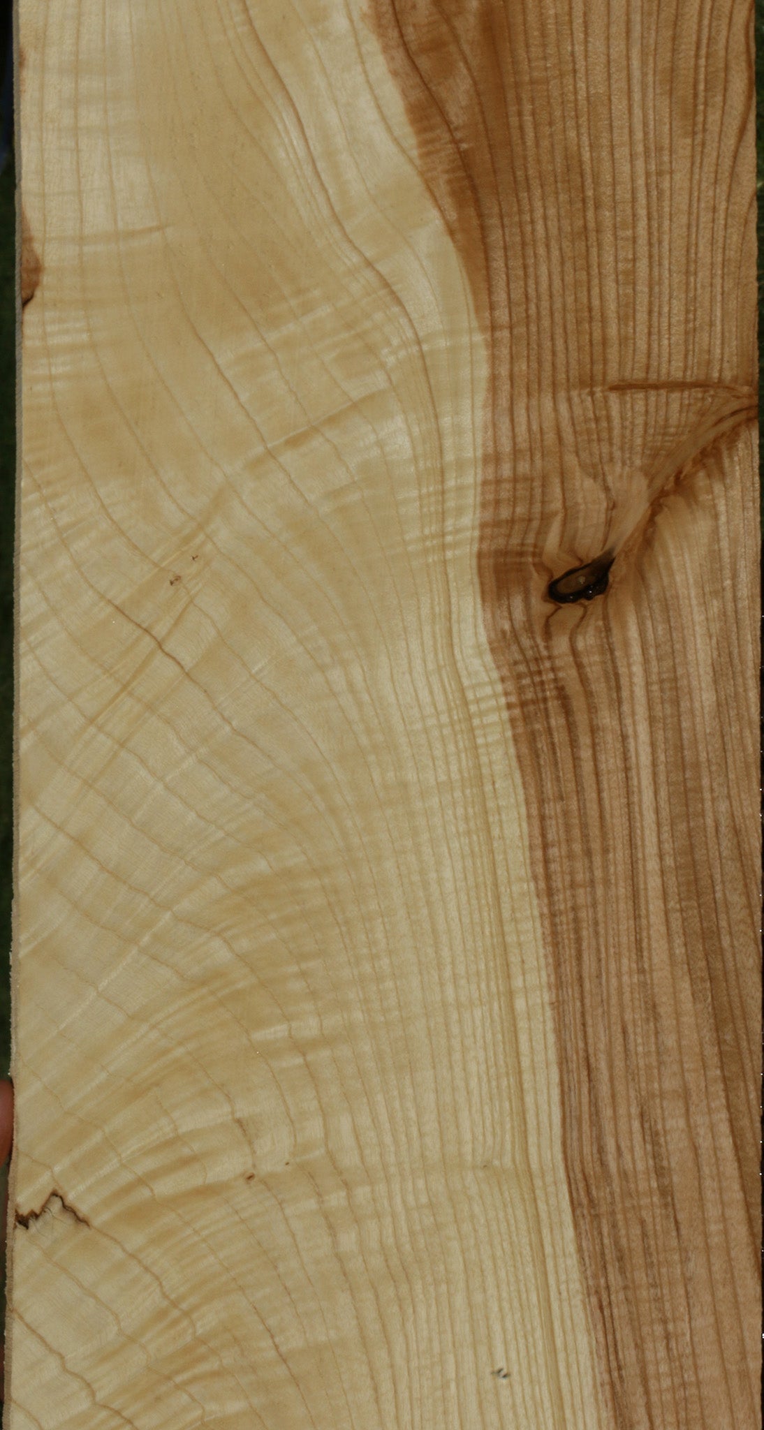 Extra Fancy Fiddleback French Ash Lumber