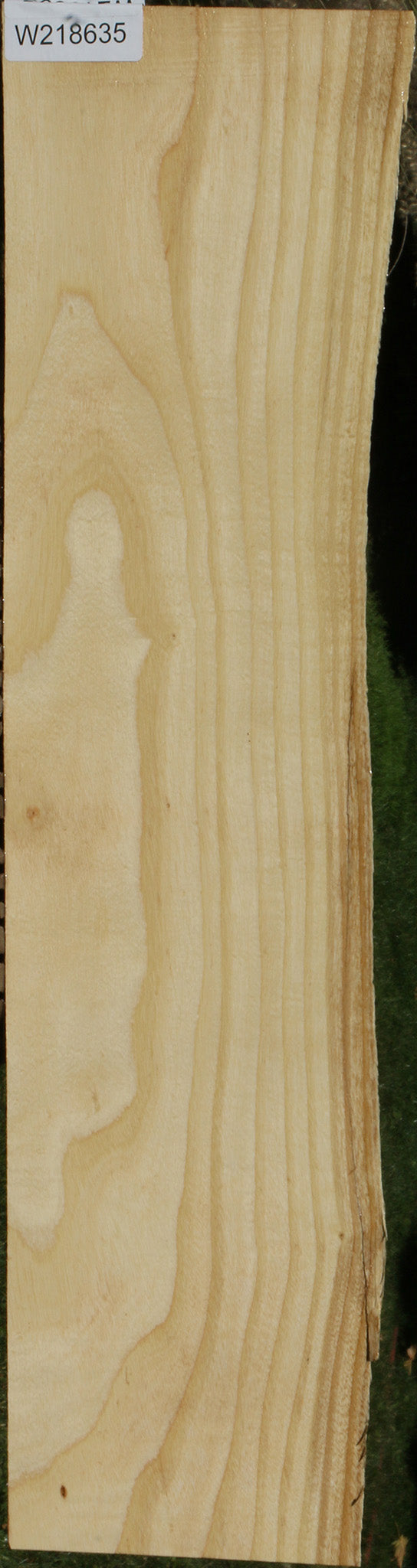 Extra Fancy Fiddleback French Ash Live Edge Lumber