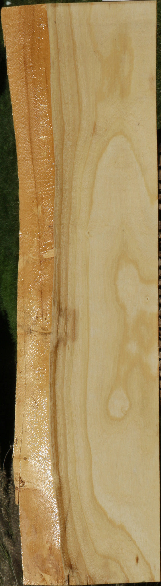 Extra Fancy Fiddleback French Ash Live Edge Lumber