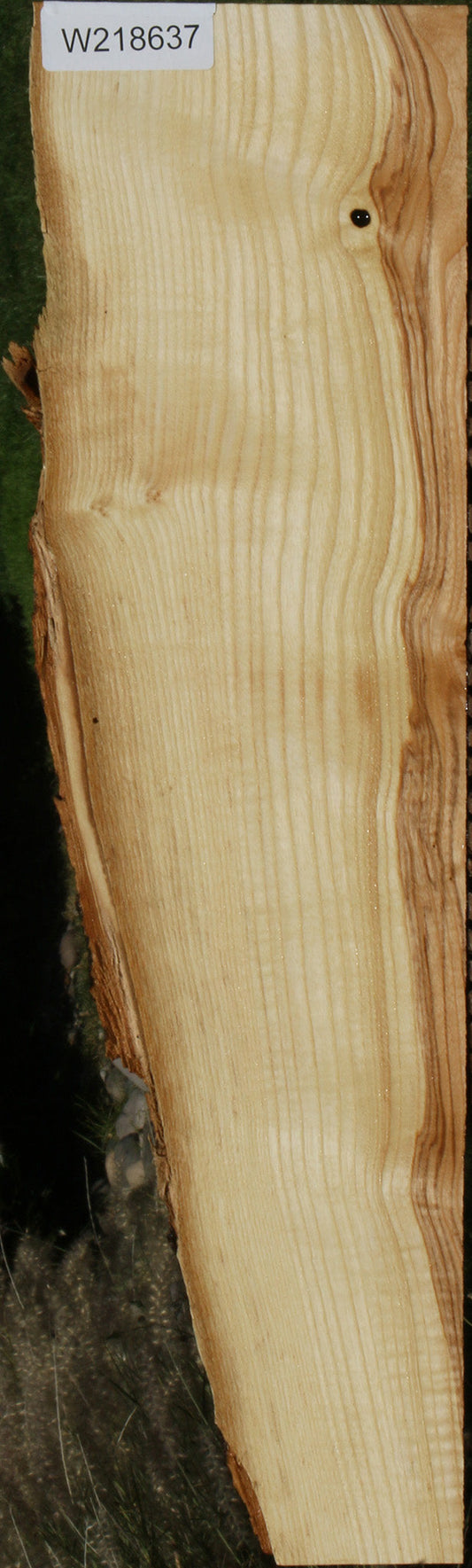 French Ash Live Edge Lumber