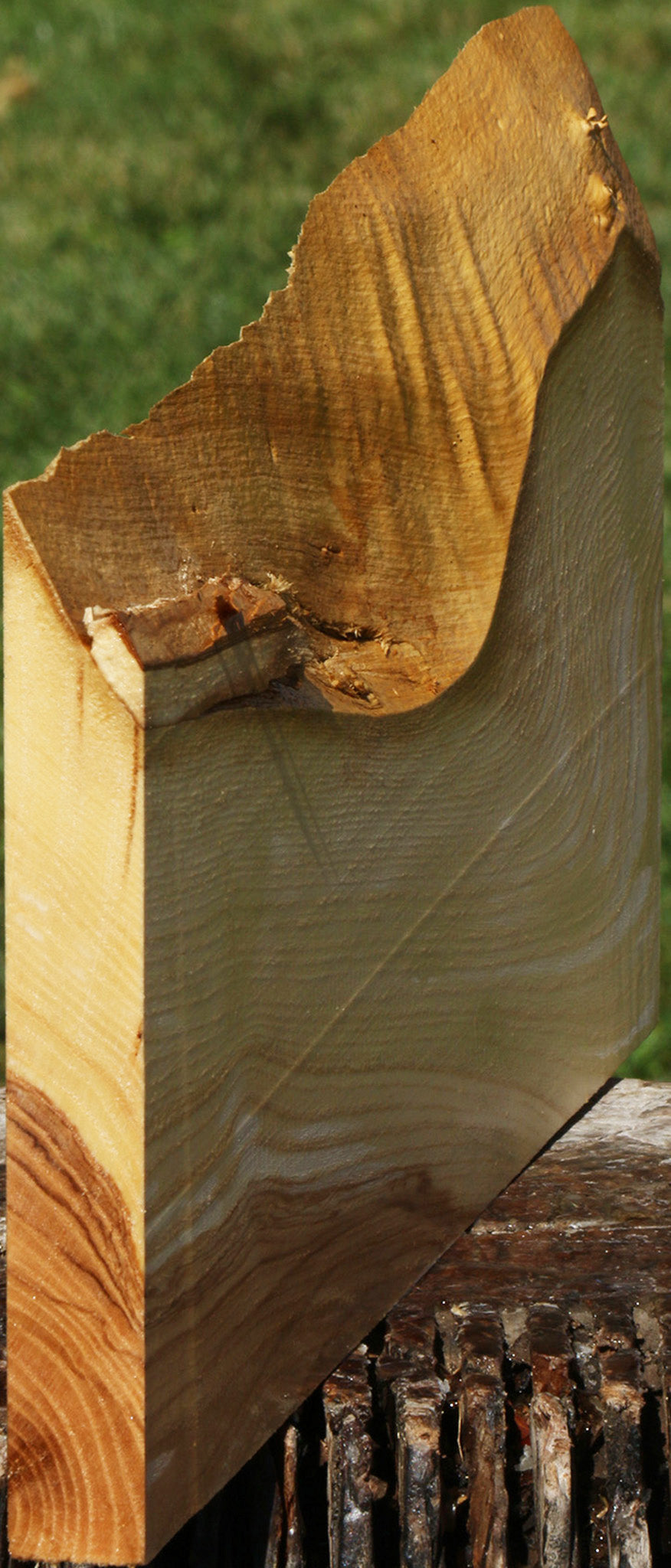 French Ash Live Edge Lumber