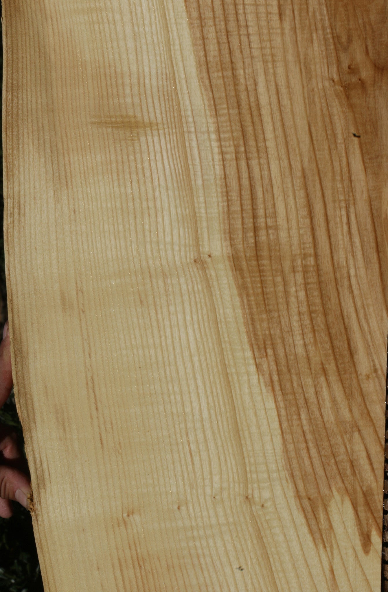 Extra Fancy Fiddleback French Ash Lumber