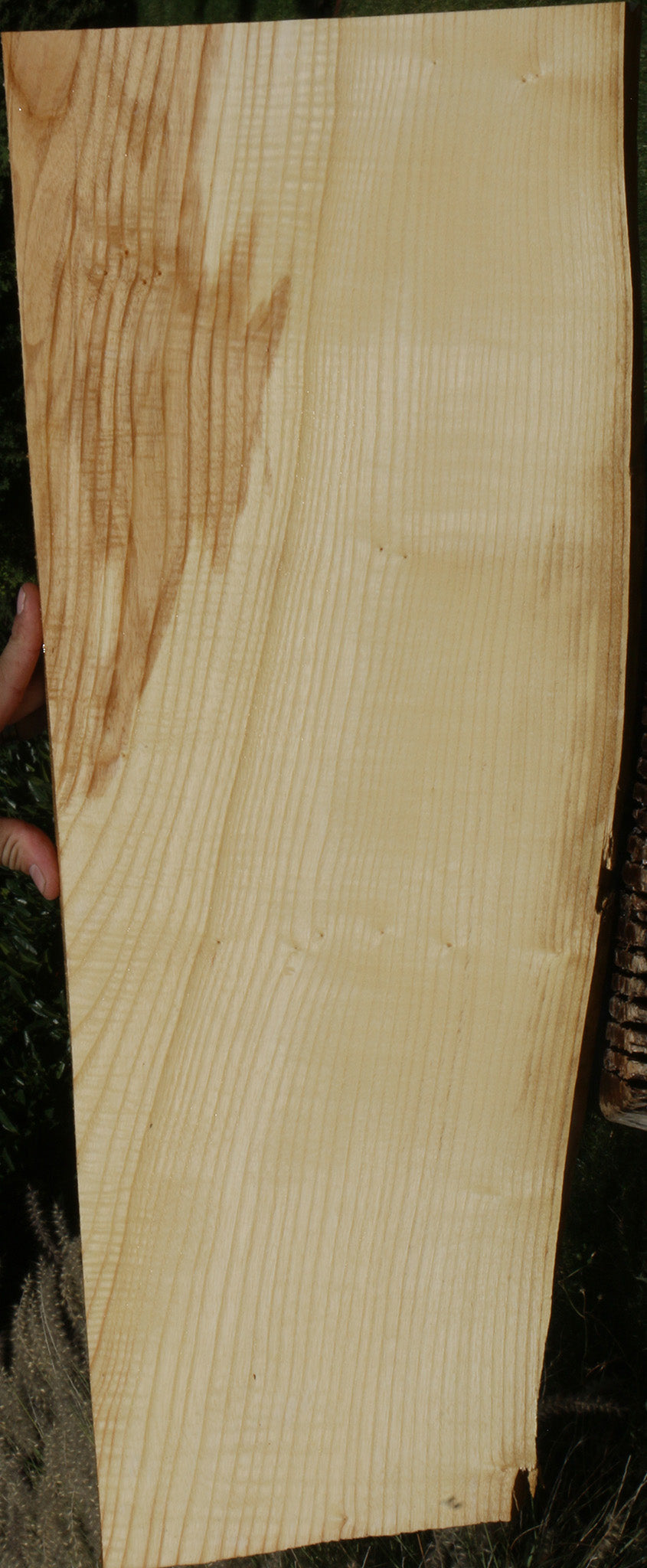 Extra Fancy Fiddleback French Ash Lumber