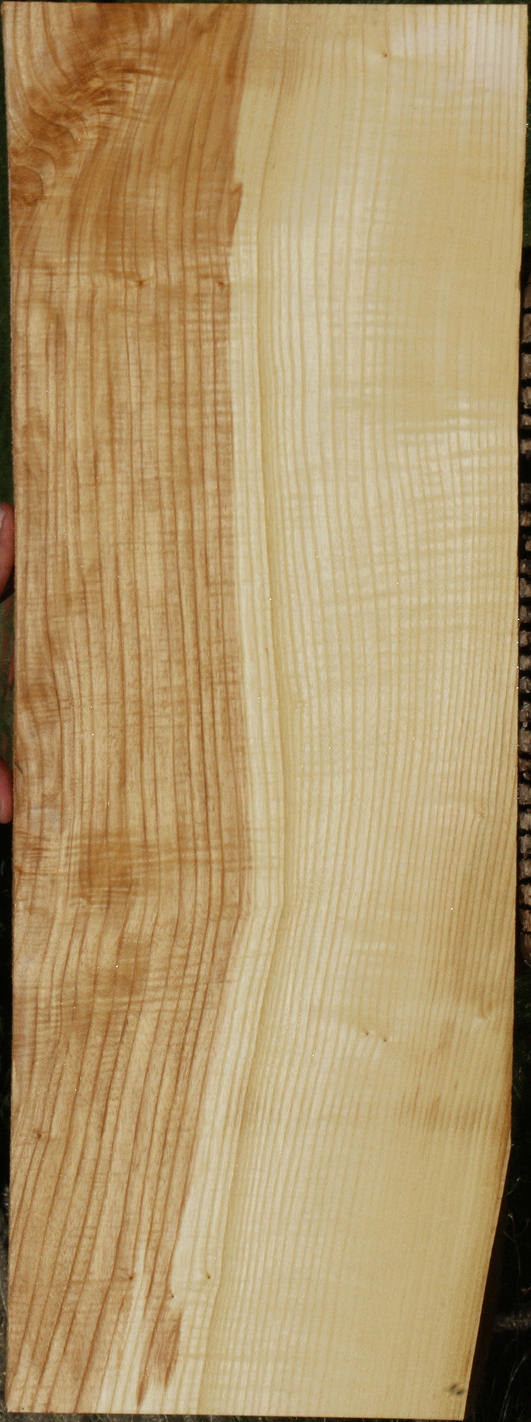 Extra Fancy Fiddleback French Ash Lumber