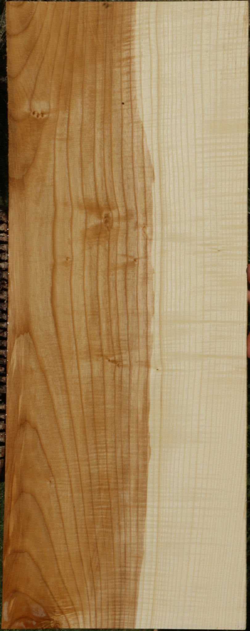 Extra Fancy Fiddleback French Ash Lumber