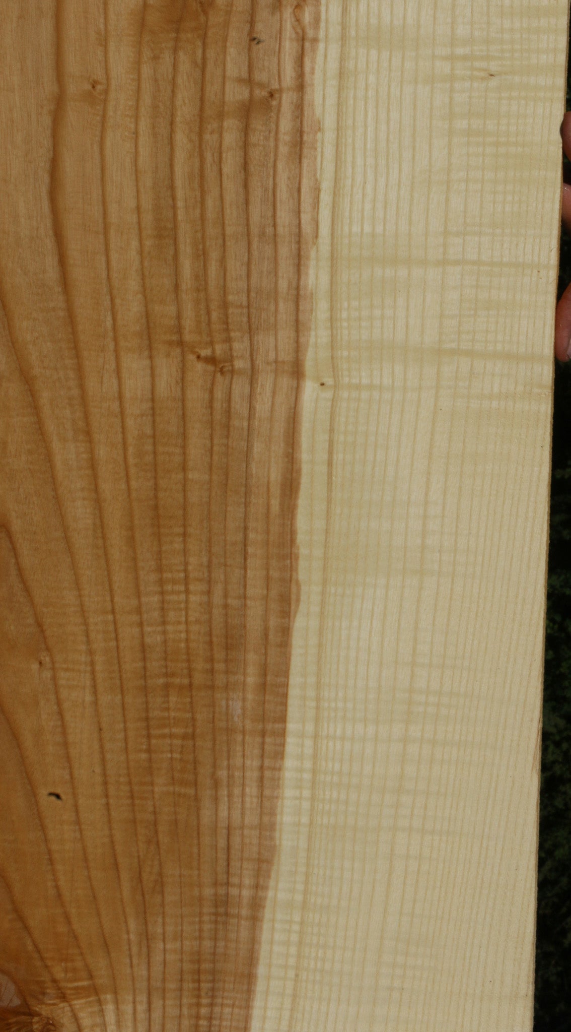 Extra Fancy Fiddleback French Ash Lumber