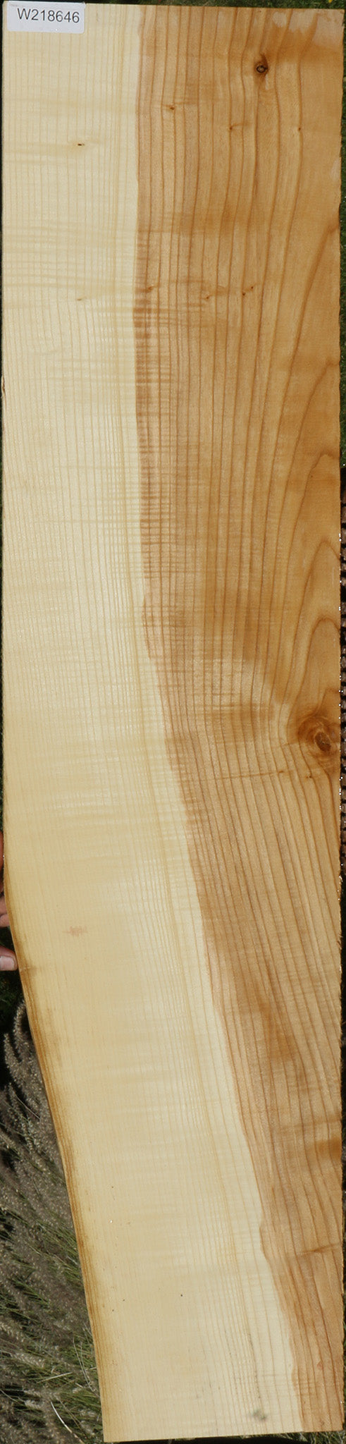 Extra Fancy Fiddleback French Ash Lumber