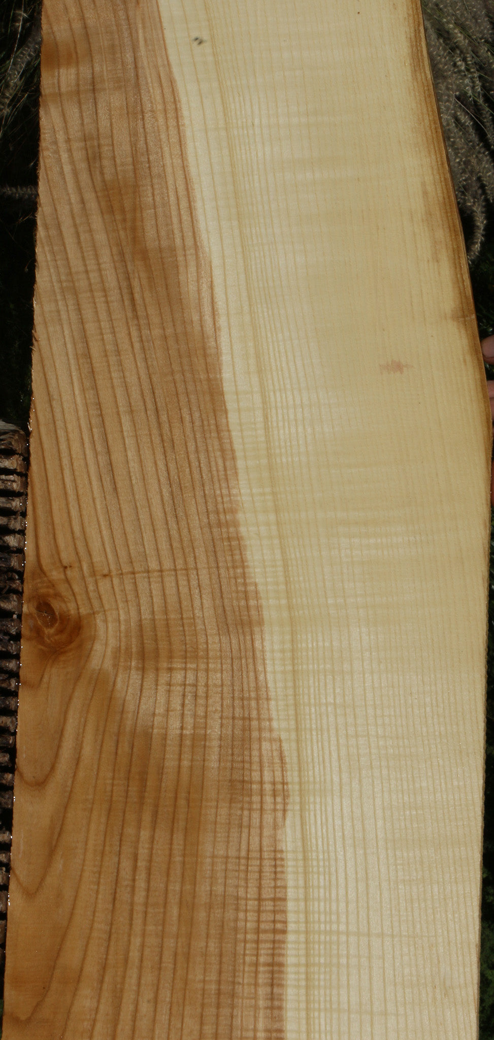 Extra Fancy Fiddleback French Ash Lumber