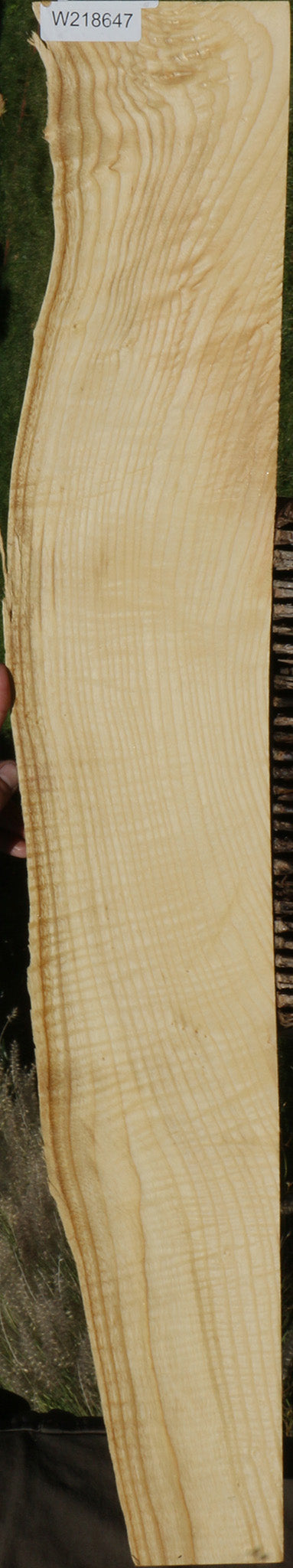 Extra Fancy Fiddleback French Ash Live Edge Lumber