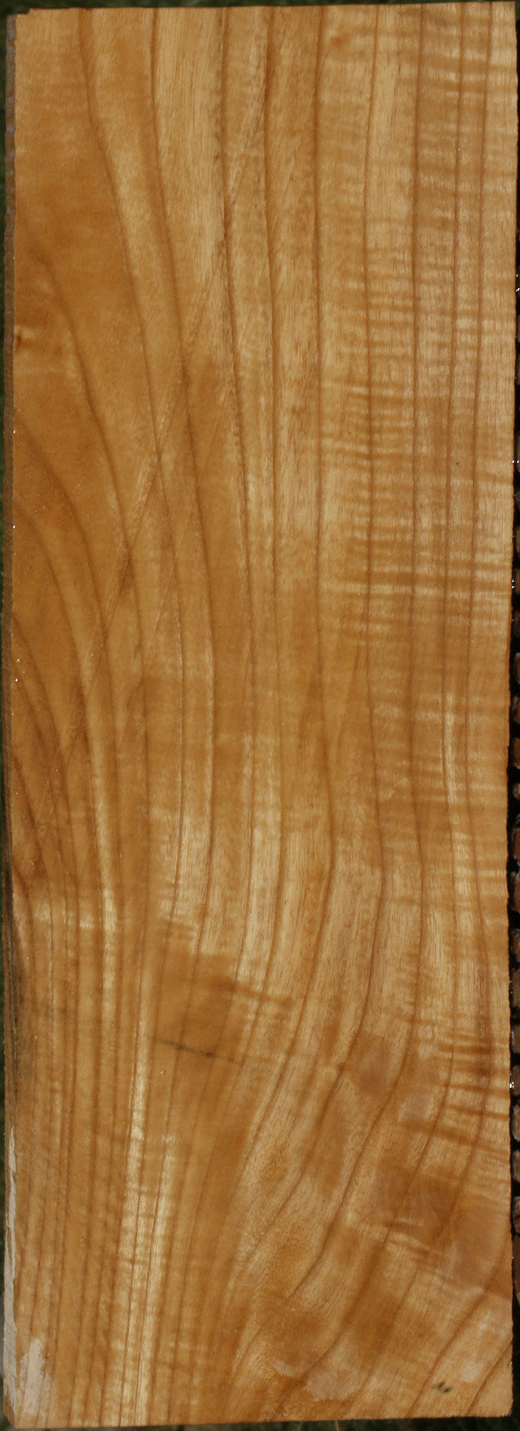 Extra Fancy Fiddleback French Ash Lumber