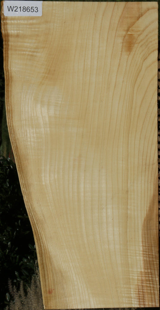 Extra Fancy Fiddleback French Ash LIve Edge Lumber