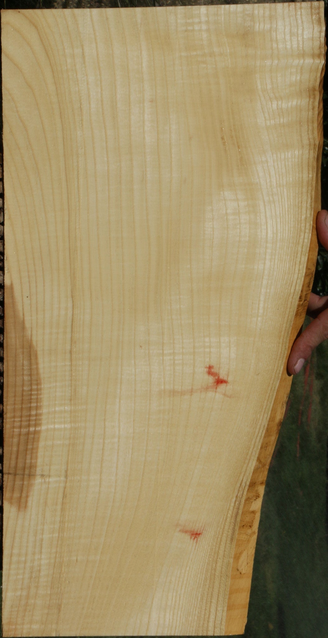 Extra Fancy Fiddleback French Ash LIve Edge Lumber