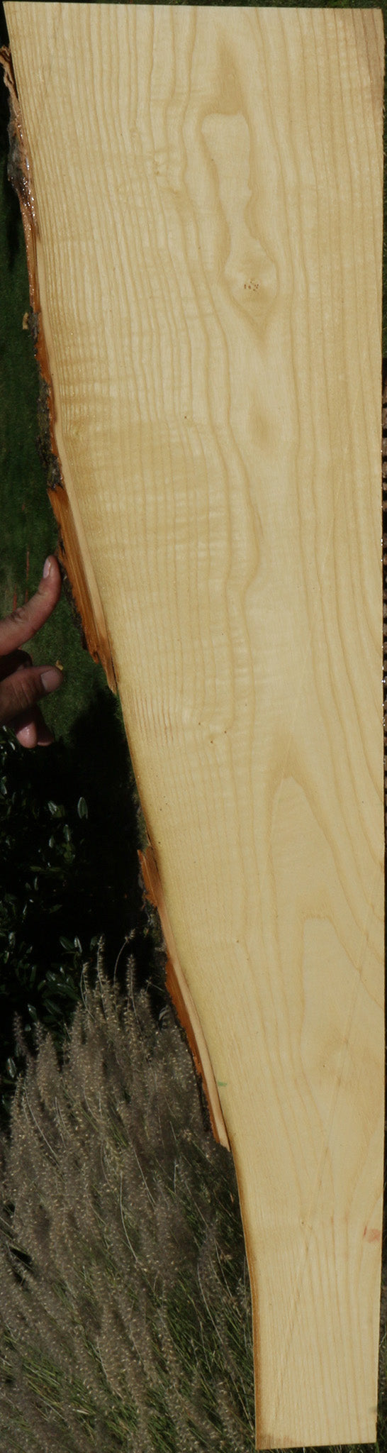 Figured French Ash Live Edge Lumber