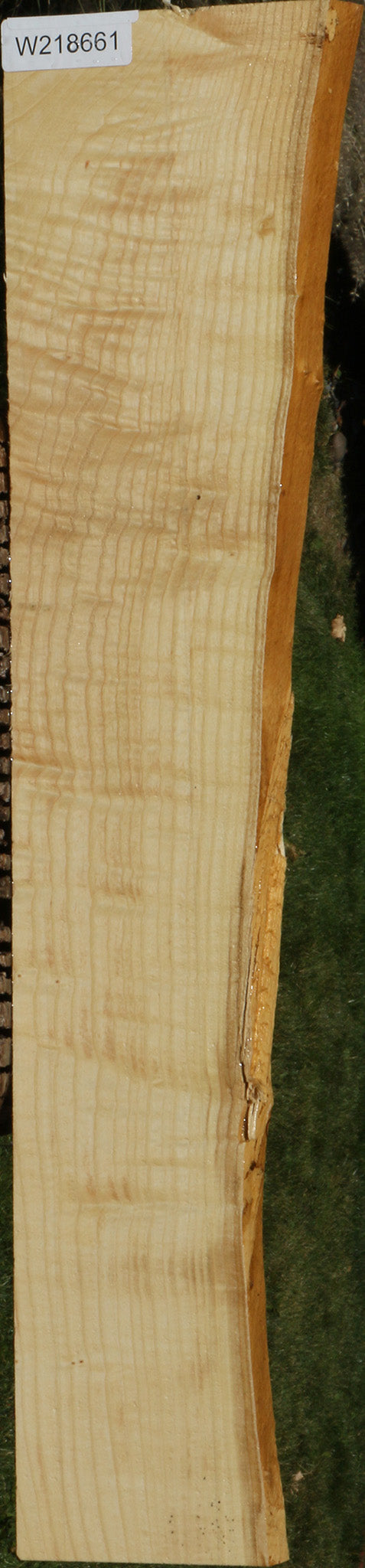 Extra Fancy Fiddleback French Ash Live Edge Lumber