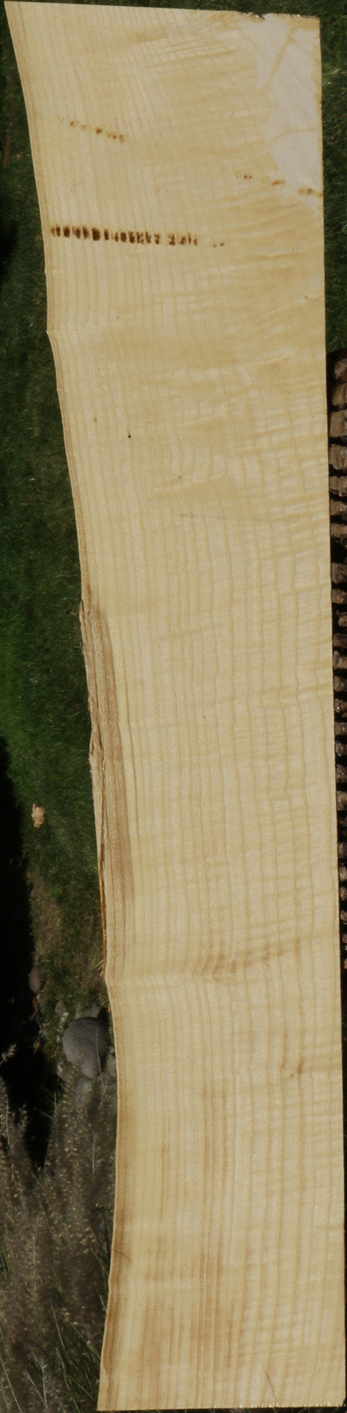 Extra Fancy Fiddleback French Ash Live Edge Lumber