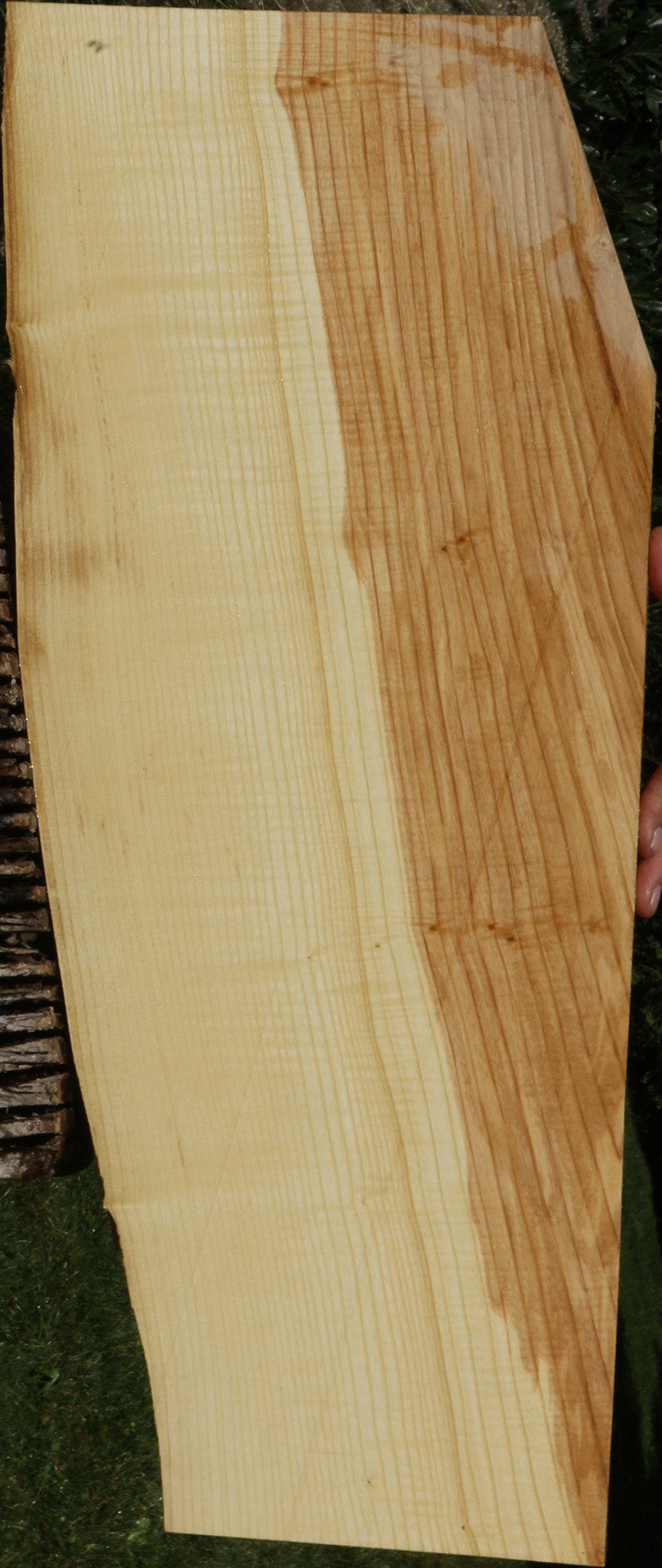 Extra Fancy Fiddleback French Ash Lumber