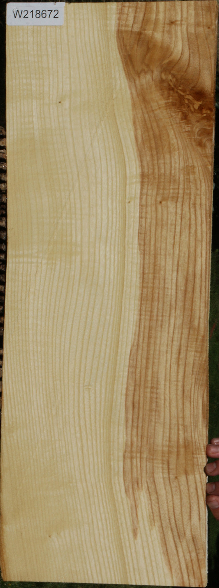 Extra Fancy Fiddleback French Ash Lumber