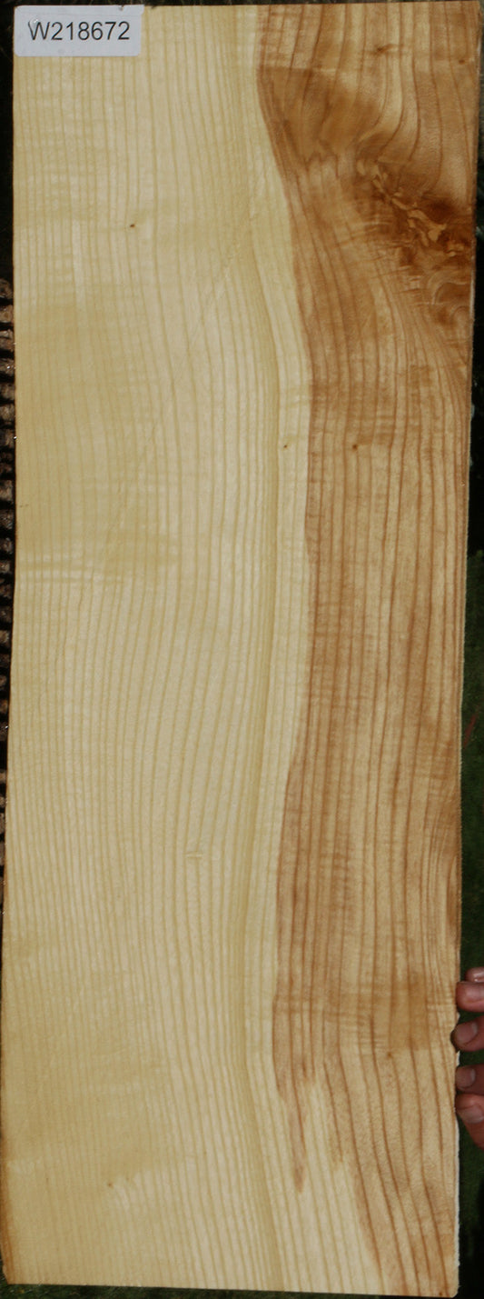 Extra Fancy Fiddleback French Ash Lumber