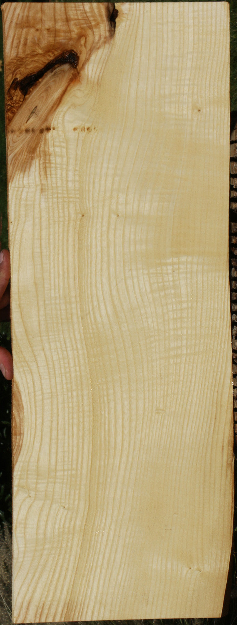 Extra Fancy Fiddleback French Ash Lumber