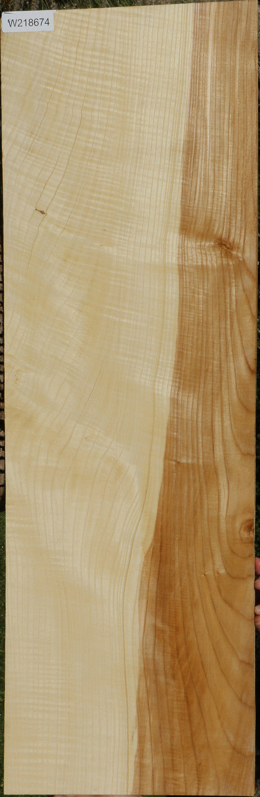 Extra Fancy Fiddleback French Ash Lumber