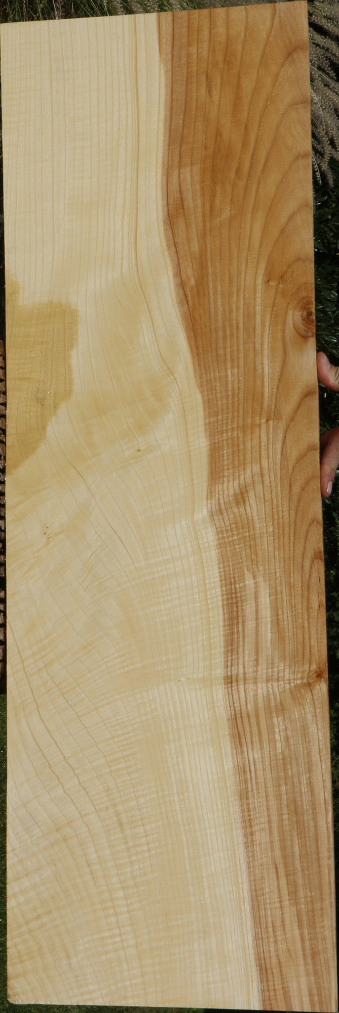 Extra Fancy Fiddleback French Ash Lumber