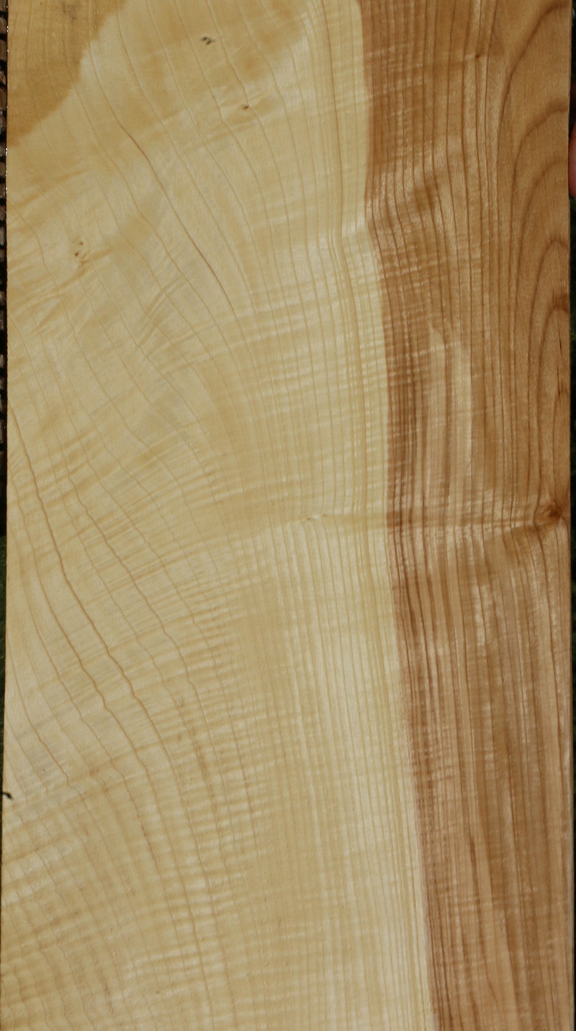 Extra Fancy Fiddleback French Ash Lumber