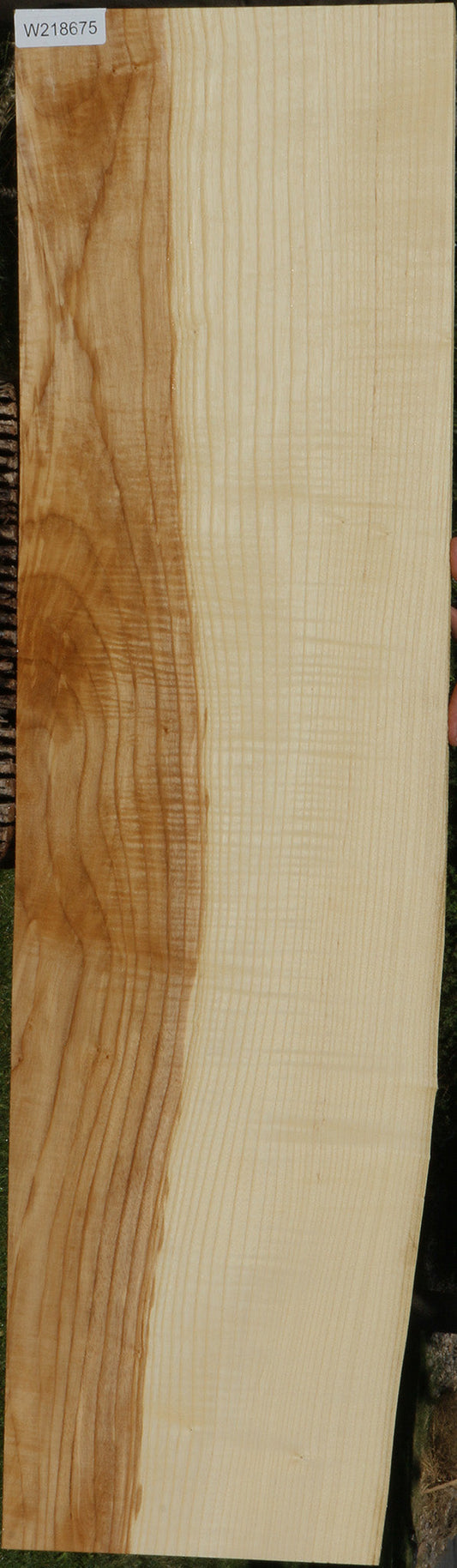 Extra Fancy Fiddleback French Ash Lumber